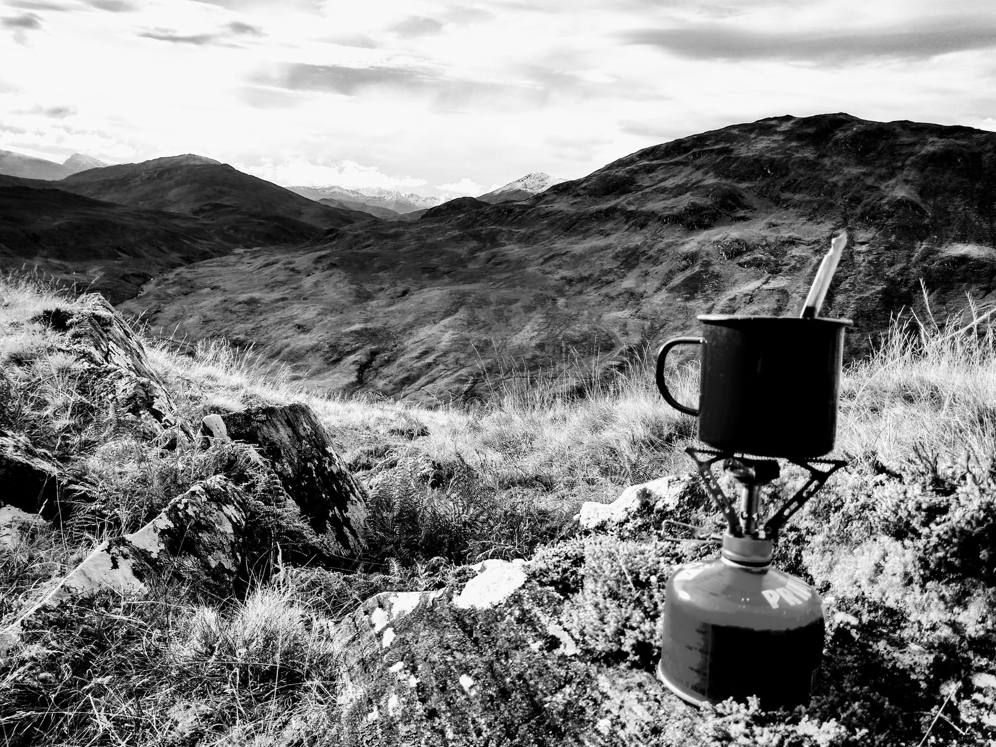From a tin cup