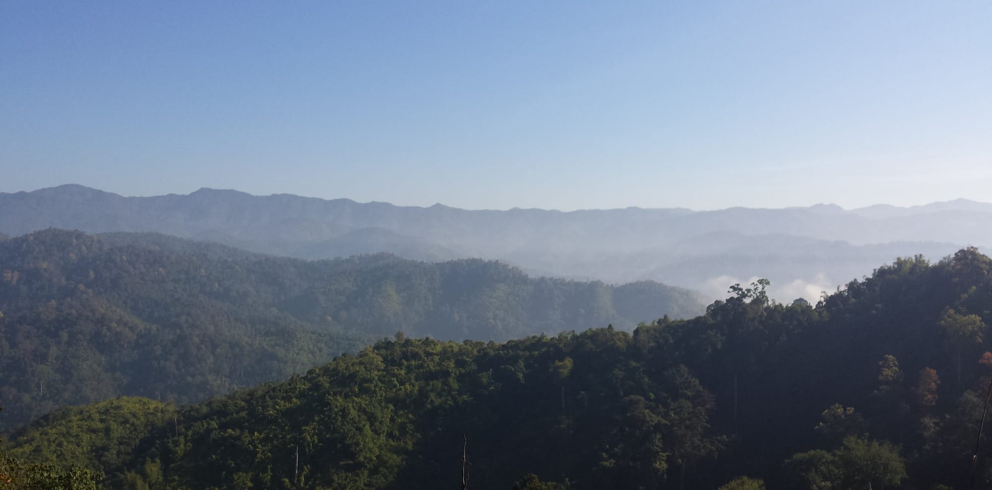 Karen Hills.jpg
