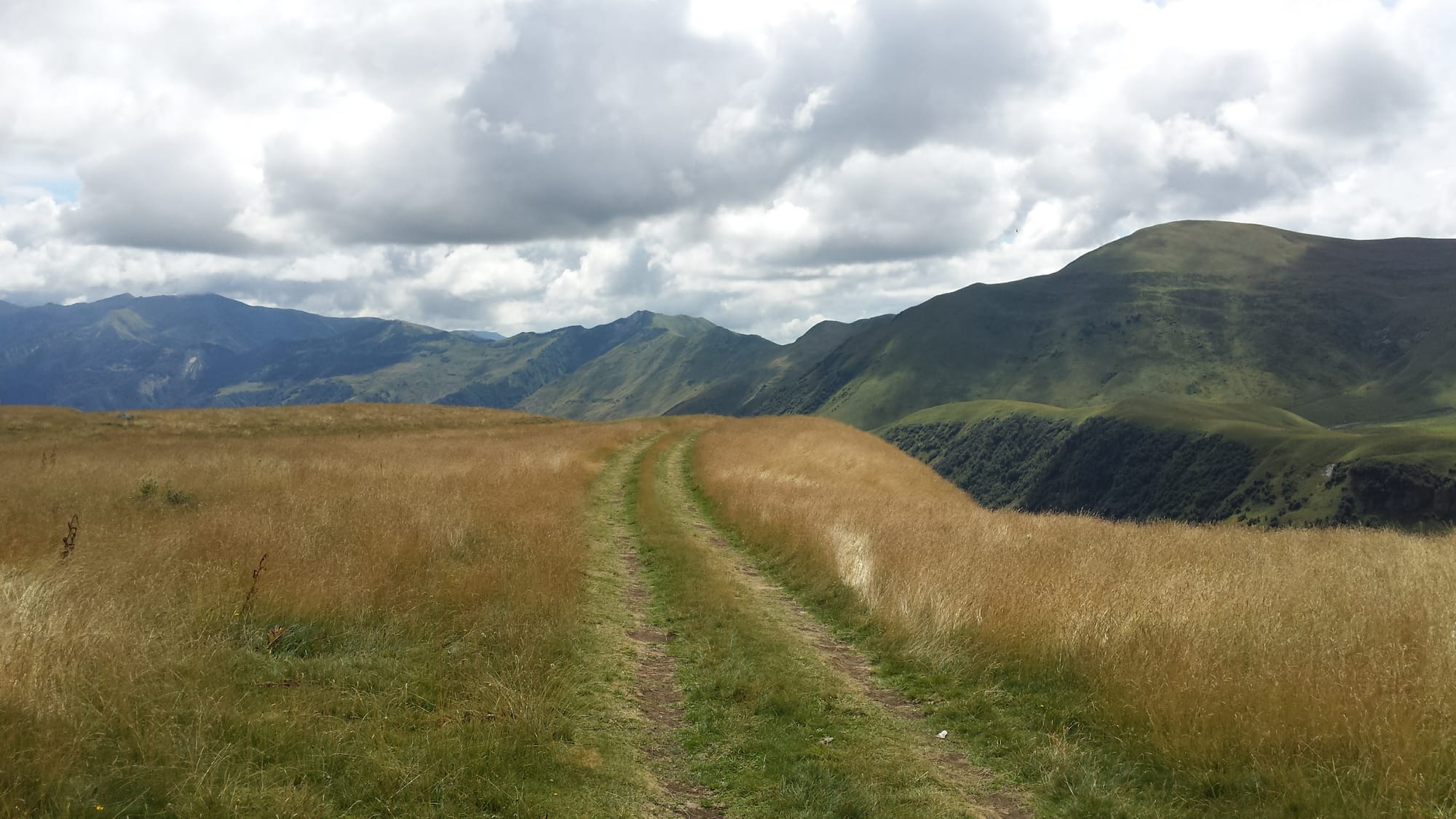 20150828_124939.jpg